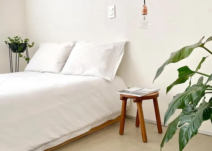 Apartamento Casa Mariana, Stylish, Spacious, Few Blocks From Condesa Y Polanco *