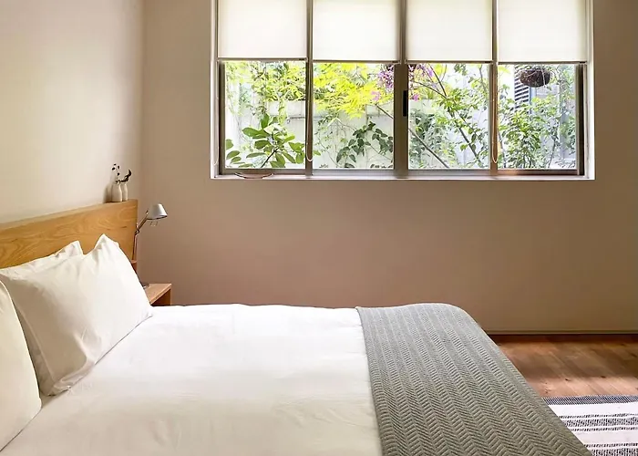 Casa Mariana, Stylish, Spacious, Few Blocks From Condesa Y Polanco