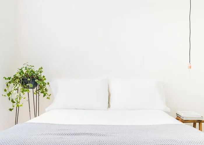 Casa Mariana, Stylish, Spacious, Few Blocks From Condesa Y Polanco