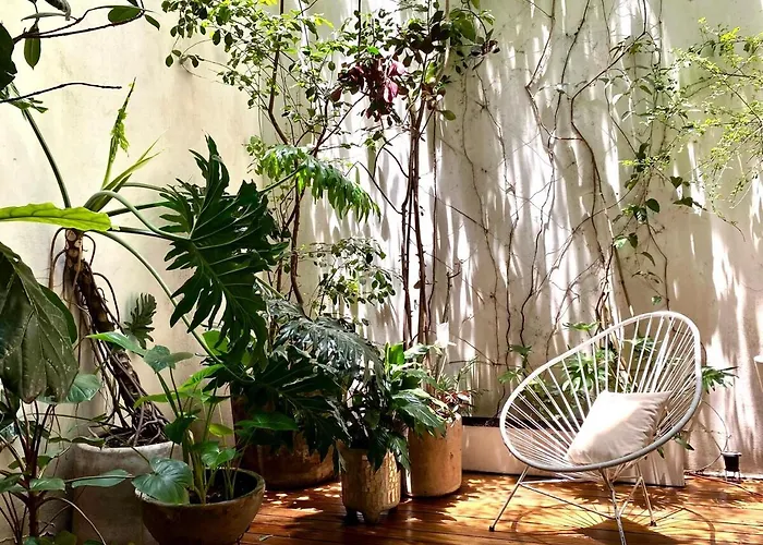 Casa Mariana, Stylish, Spacious, Few Blocks From Condesa Y Polanco Apartamento *